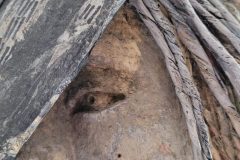Peau-dane-detail_papier-mache_2019-2